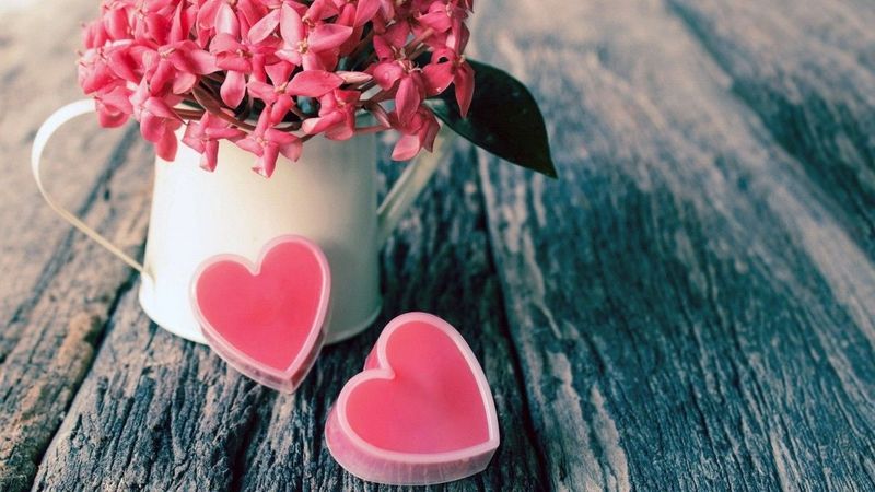 Где найти самую лучшую флористическую школу Где найти самую лучшую флористическую школу